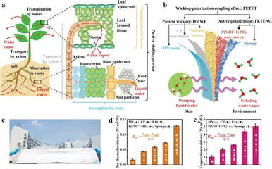 AFMG 高性能纖維及復(fù)合材料制造 引領(lǐng)材料科技的未來